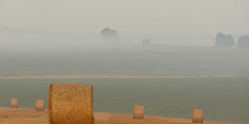 从服装读懂电影：如何通过服饰设计洞察角色与时代，提升你的观影与影评深度