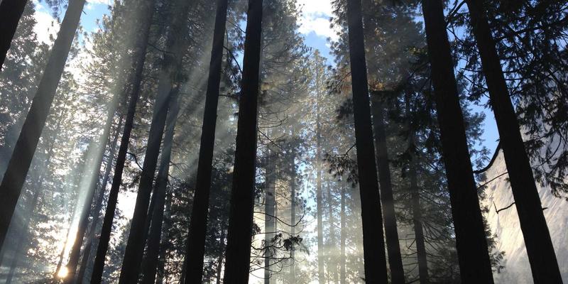 从《爆裂鼓手》到《爱在》系列：电影剪辑的节奏魔法如何影响你的观影体验与电影票价值