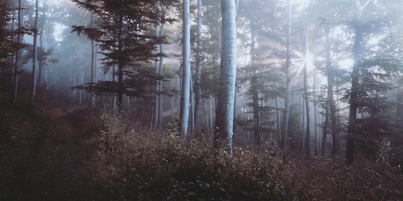 《电影17》全面指南：上映时间、在线购票攻略与观影前瞻