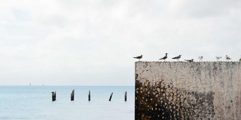 电影《18》：上映时间、影评与购票指南全解析