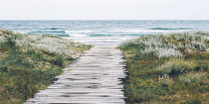 《电影19》终极观影指南：上映时间、购票攻略与深度资讯解析