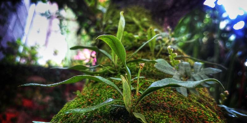 电影66：从12电影院到在线购票，解码观影体验的数字化革命