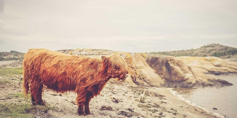 电影75：从12家影院到在线购票，解码电影消费的进化之路