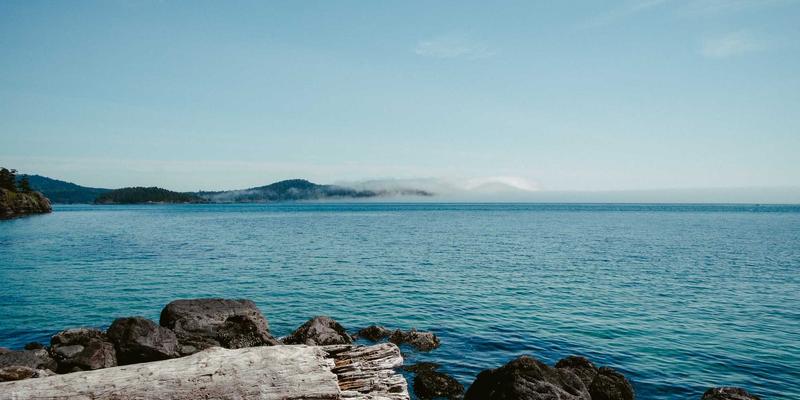 《电影77》全面解析：上映时间、在线购票指南与深度资讯