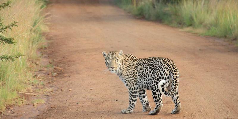 电影的魅力与优势：从12电影院排片看上映时间的艺术
