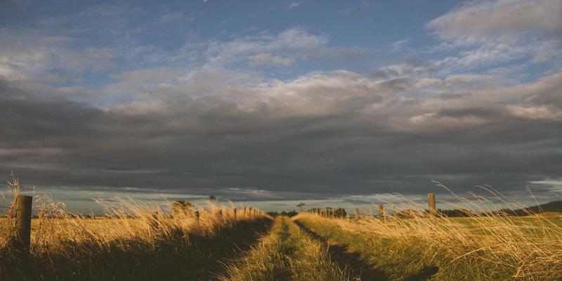 电影色彩心理学：12电影院解析色调与光影如何塑造观众情绪