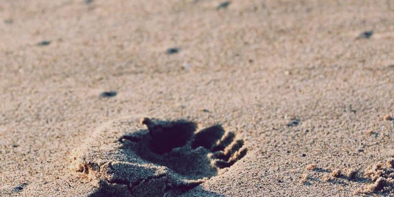 电影预告片的营销艺术：如何用90秒引爆观众期待与社交媒体讨论